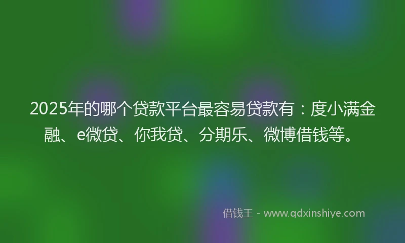 2025年的哪个贷款平台最容易贷款有：度小满金融、e微贷、你我贷、分期乐、微博借钱等。