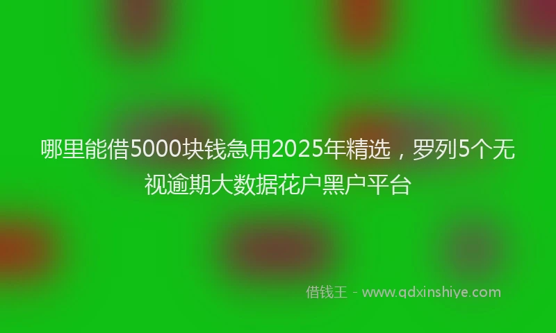 哪里能借5000块钱急用2025年精选，罗列5个无视逾期大数据花户黑户平台