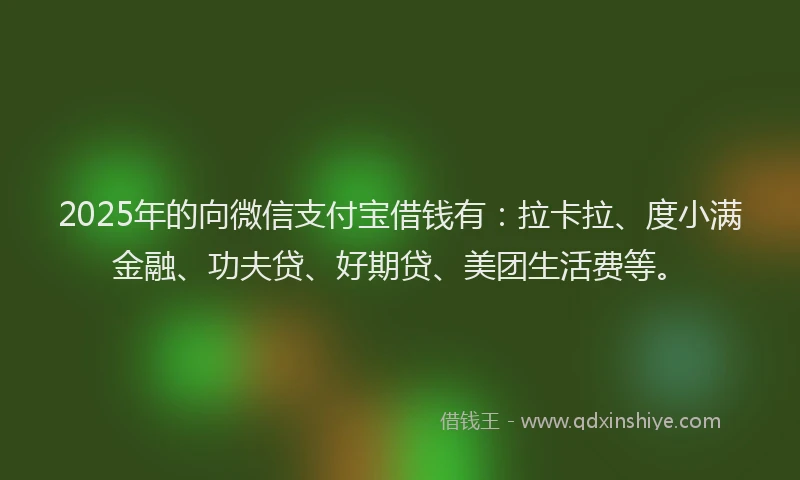 2025年的向微信支付宝借钱有：拉卡拉、度小满金融、功夫贷、好期贷、美团生活费等。