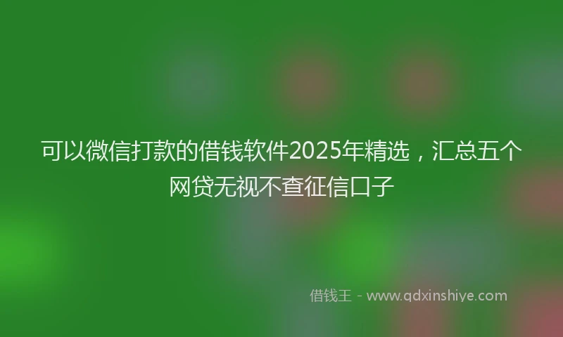 可以微信打款的借钱软件2025年精选，汇总五个网贷无视不查征信口子