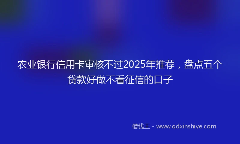 农业银行信用卡审核不过2025年推荐，盘点五个贷款好做不看征信的口子