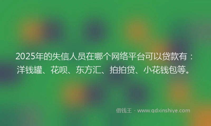 2025年的失信人员在哪个网络平台可以贷款有：洋钱罐、花呗、东方汇、拍拍贷、小花钱包等。