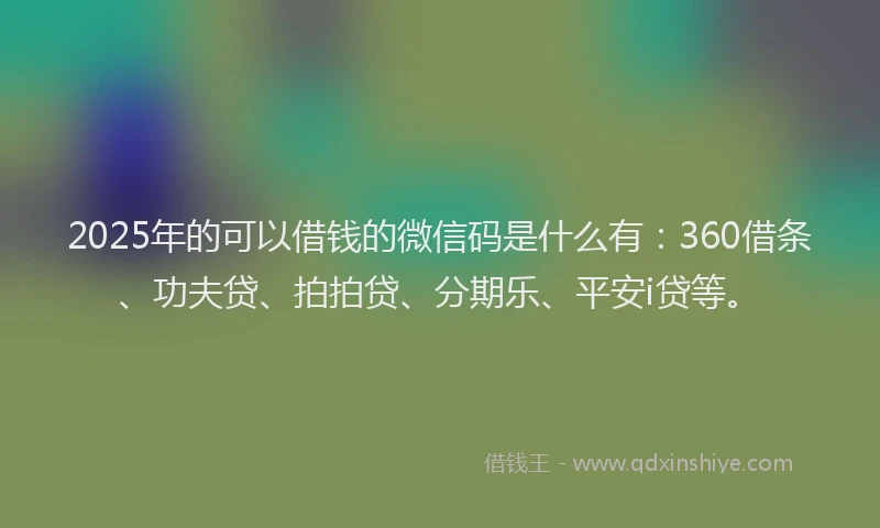 2025年的可以借钱的微信码是什么有：360借条、功夫贷、拍拍贷、分期乐、平安i贷等。