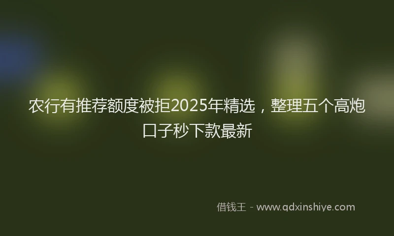 农行有推荐额度被拒2025年精选，整理五个高炮口子秒下款最新