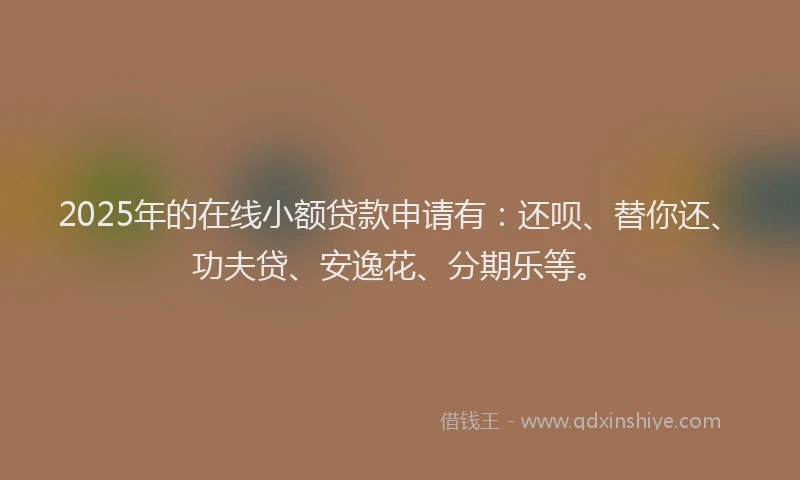 2025年的在线小额贷款申请有：还呗、替你还、功夫贷、安逸花、分期乐等。