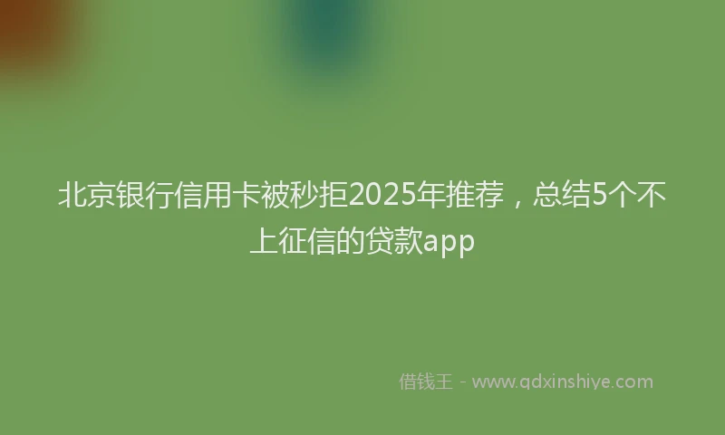 北京银行信用卡被秒拒2025年推荐，总结5个不上征信的贷款app