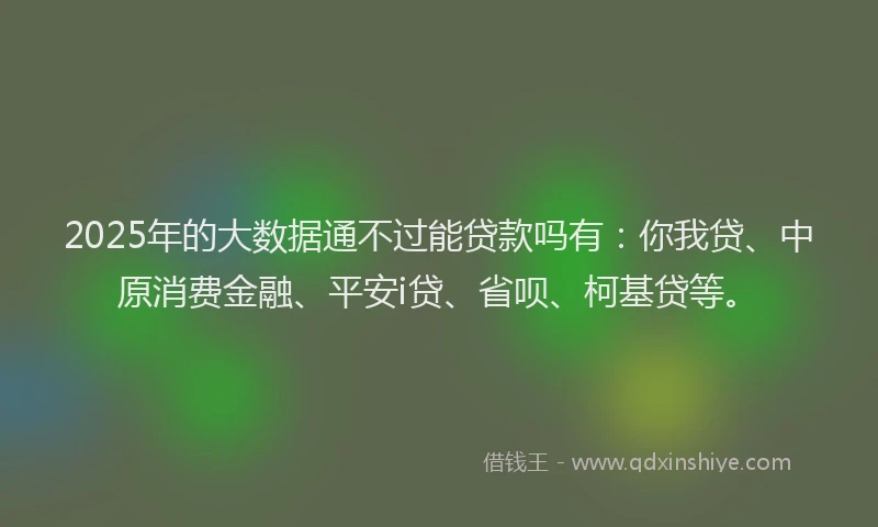 2025年的大数据通不过能贷款吗有：你我贷、中原消费金融、平安i贷、省呗、柯基贷等。