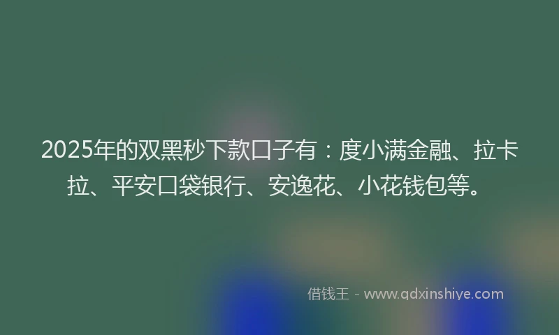 2025年的双黑秒下款口子有：度小满金融、拉卡拉、平安口袋银行、安逸花、小花钱包等。