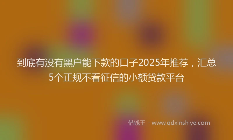 到底有没有黑户能下款的口子2025年推荐，汇总5个正规不看征信的小额贷款平台