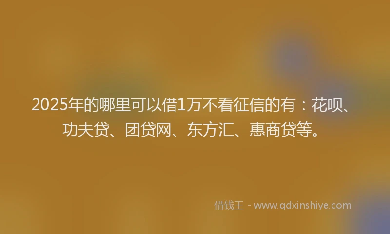 2025年的哪里可以借1万不看征信的有：花呗、功夫贷、团贷网、东方汇、惠商贷等。
