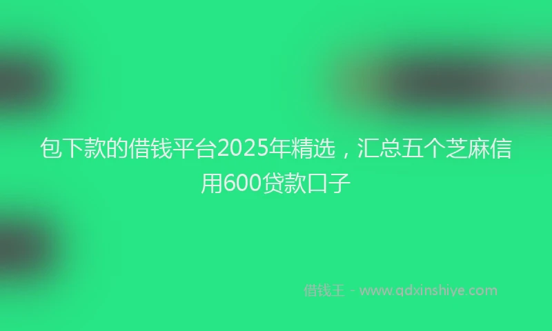 包下款的借钱平台2025年精选，汇总五个芝麻信用600贷款口子