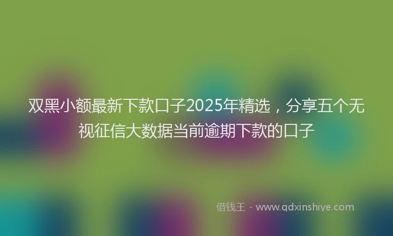 双黑小额最新下款口子2025年精选，分享五个无视征信大数据当前逾期下款的口子