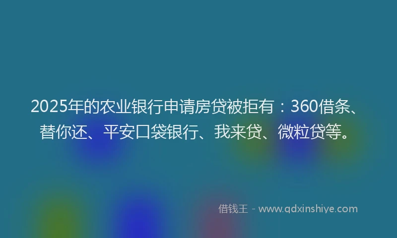 2025年的农业银行申请房贷被拒有：360借条、替你还、平安口袋银行、我来贷、微粒贷等。