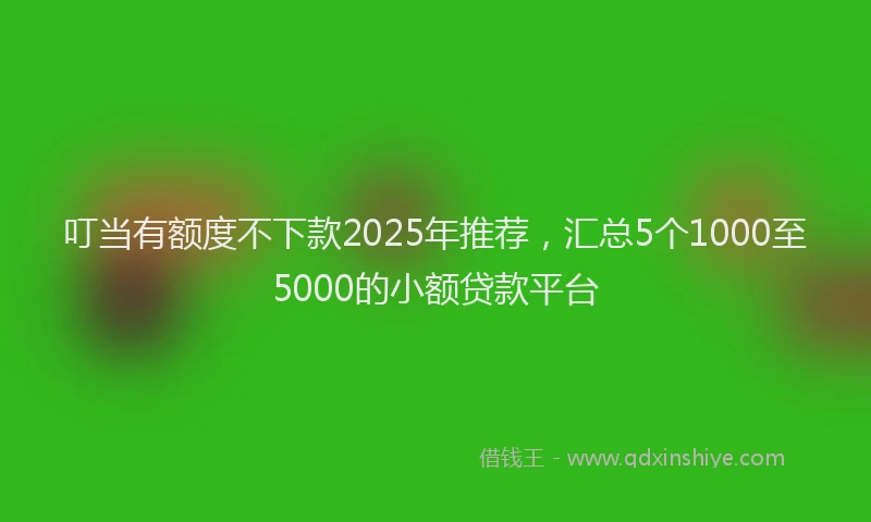 叮当有额度不下款2025年推荐，汇总5个1000至5000的小额贷款平台
