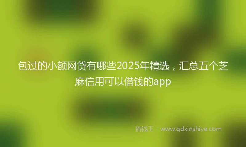 包过的小额网贷有哪些2025年精选，汇总五个芝麻信用可以借钱的app