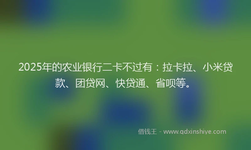 2025年的农业银行二卡不过有：拉卡拉、小米贷款、团贷网、快贷通、省呗等。