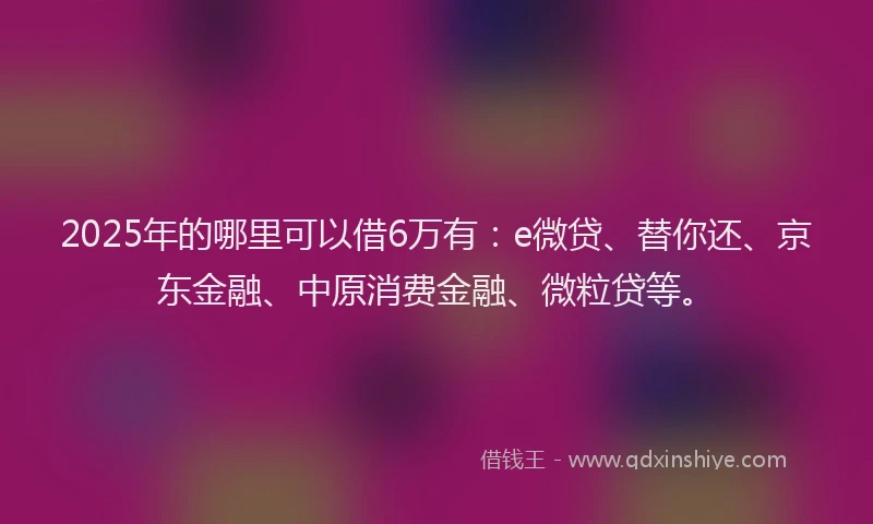 2025年的哪里可以借6万有：e微贷、替你还、京东金融、中原消费金融、微粒贷等。