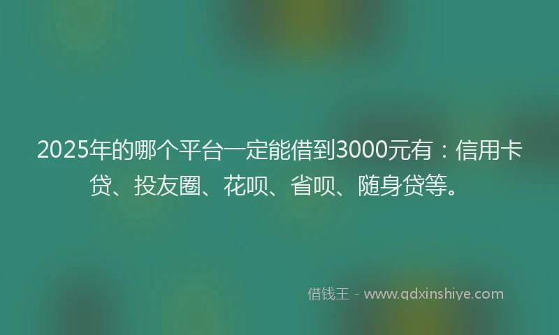 2025年的哪个平台一定能借到3000元有：信用卡贷、投友圈、花呗、省呗、随身贷等。