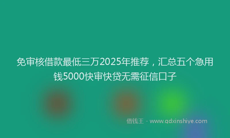 免审核借款最低三万2025年推荐，汇总五个急用钱5000快审快贷无需征信口子