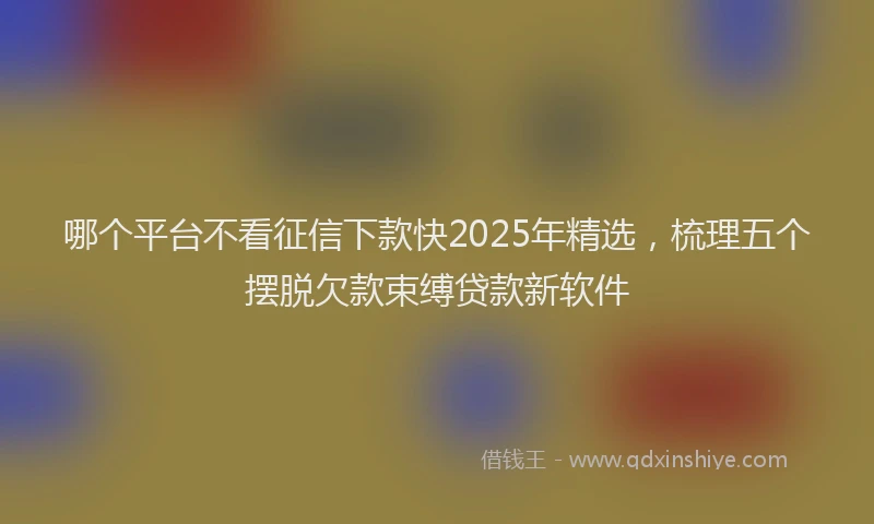 哪个平台不看征信下款快2025年精选，梳理五个摆脱欠款束缚贷款新软件
