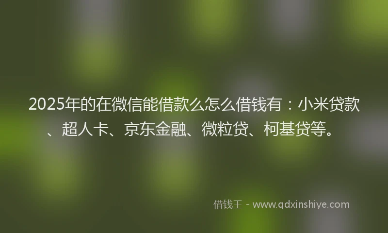 2025年的在微信能借款么怎么借钱有：小米贷款、超人卡、京东金融、微粒贷、柯基贷等。