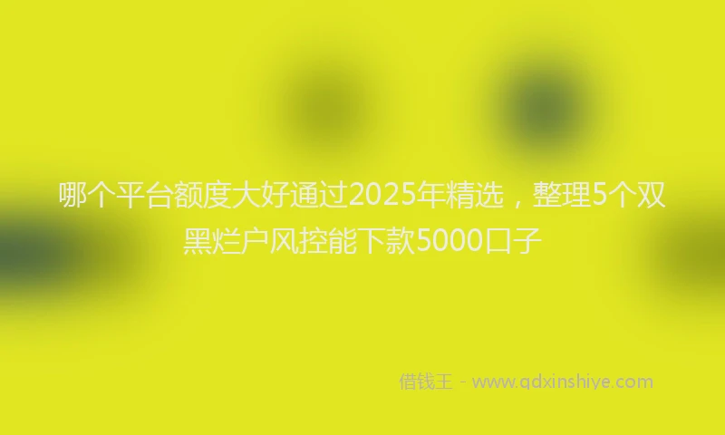哪个平台额度大好通过2025年精选，整理5个双黑烂户风控能下款5000口子