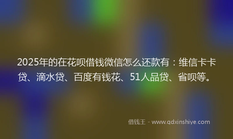 2025年的在花呗借钱微信怎么还款有：维信卡卡贷、滴水贷、百度有钱花、51人品贷、省呗等。