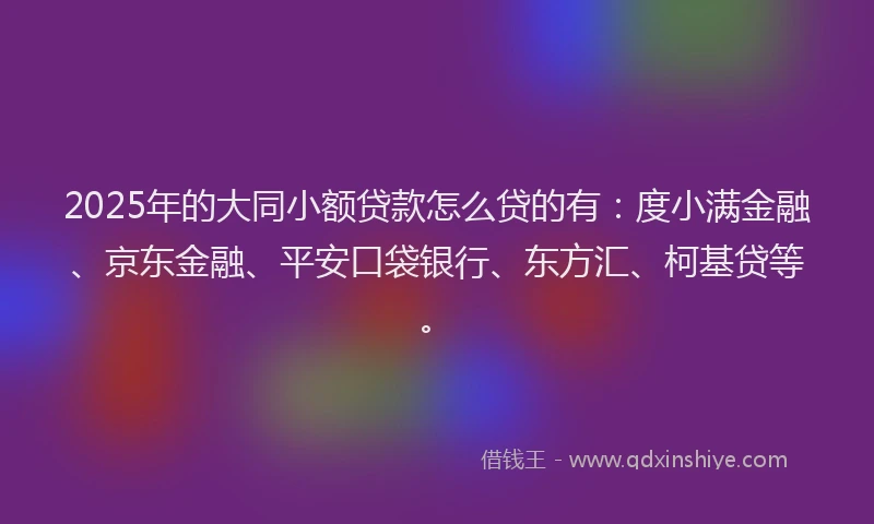 2025年的大同小额贷款怎么贷的有：度小满金融、京东金融、平安口袋银行、东方汇、柯基贷等。
