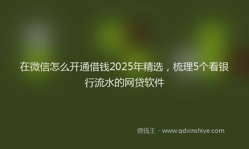 在微信怎么开通借钱2025年精选，梳理5个看银行流水的网贷软件