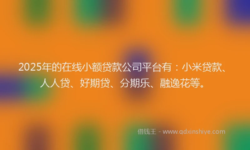 2025年的在线小额贷款公司平台有：小米贷款、人人贷、好期贷、分期乐、融逸花等。