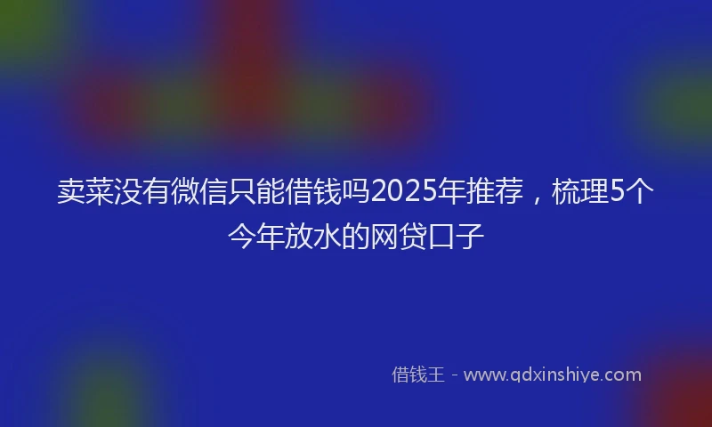 卖菜没有微信只能借钱吗2025年推荐，梳理5个今年放水的网贷口子
