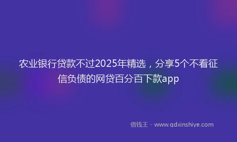 农业银行贷款不过2025年精选，分享5个不看征信负债的网贷百分百下款app