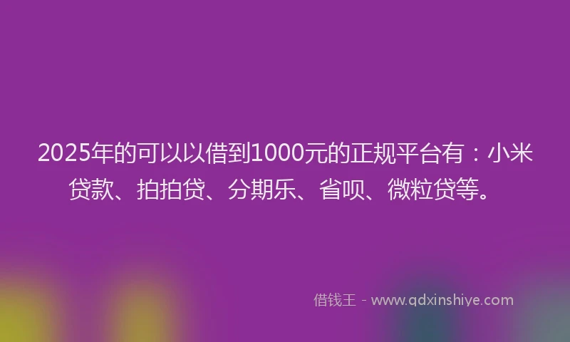 2025年的可以以借到1000元的正规平台有：小米贷款、拍拍贷、分期乐、省呗、微粒贷等。