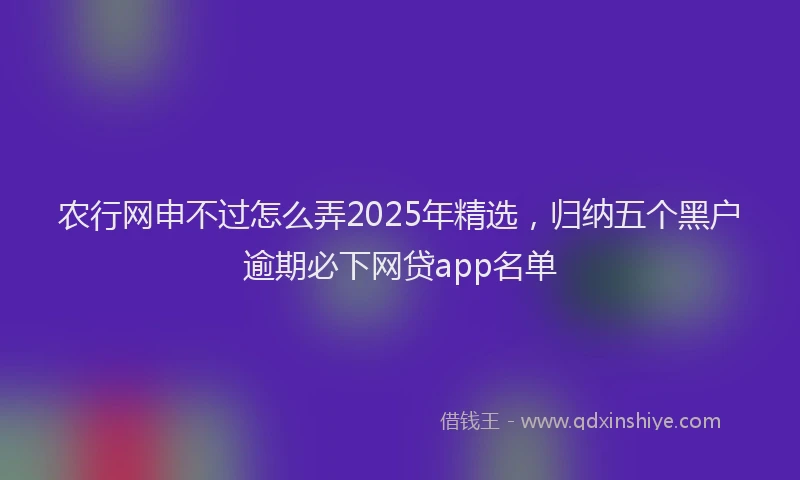 农行网申不过怎么弄2025年精选，归纳五个黑户逾期必下网贷app名单