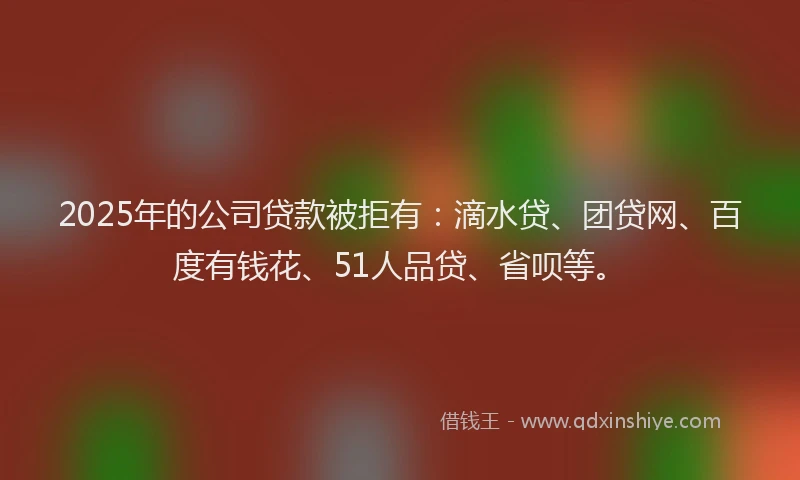 2025年的公司贷款被拒有：滴水贷、团贷网、百度有钱花、51人品贷、省呗等。
