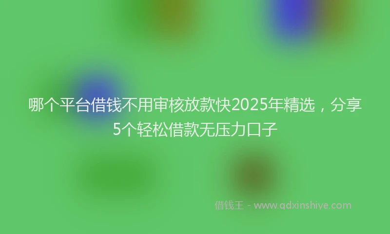 哪个平台借钱不用审核放款快2025年精选，分享5个轻松借款无压力口子