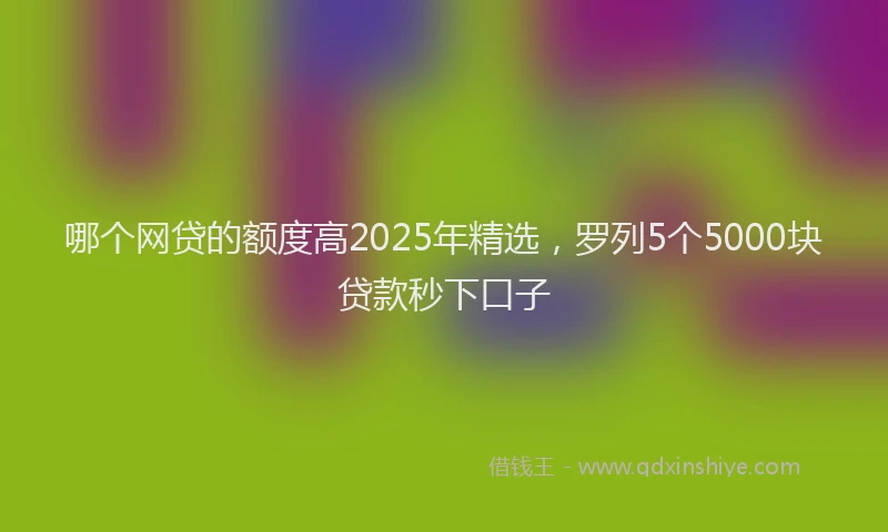 哪个网贷的额度高2025年精选，罗列5个5000块贷款秒下口子