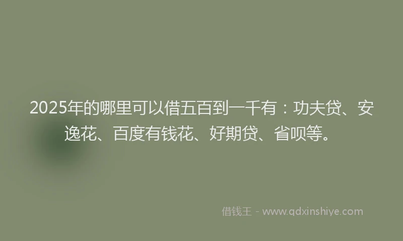 2025年的哪里可以借五百到一千有：功夫贷、安逸花、百度有钱花、好期贷、省呗等。