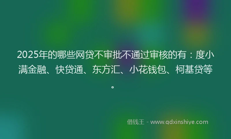 2025年的哪些网贷不审批不通过审核的有：度小满金融、快贷通、东方汇、小花钱包、柯基贷等。