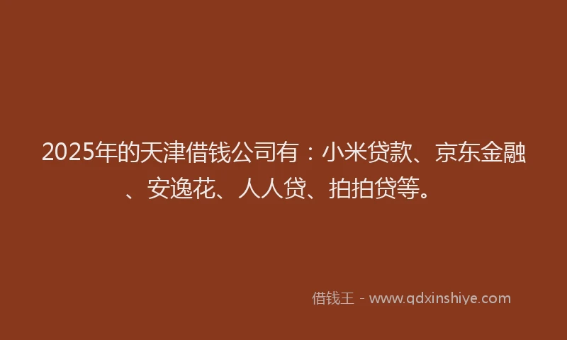 2025年的天津借钱公司有：小米贷款、京东金融、安逸花、人人贷、拍拍贷等。