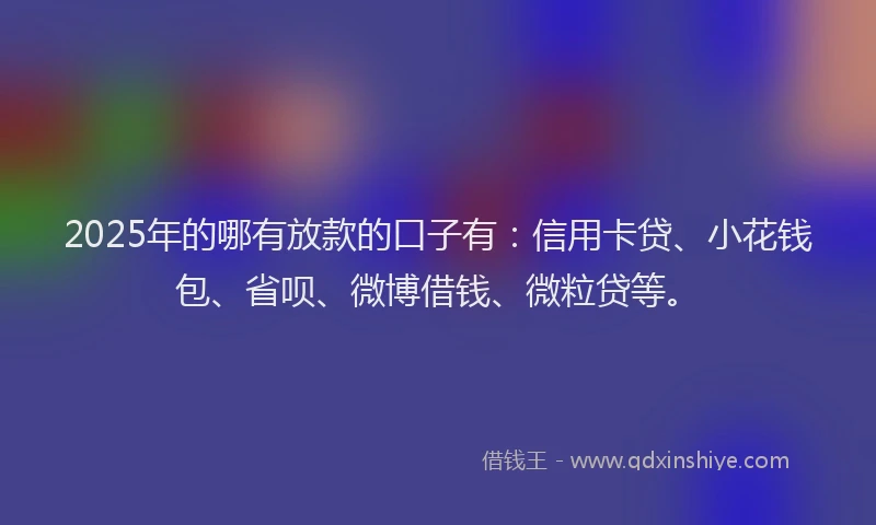 2025年的哪有放款的口子有：信用卡贷、小花钱包、省呗、微博借钱、微粒贷等。