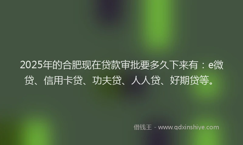 2025年的合肥现在贷款审批要多久下来有：e微贷、信用卡贷、功夫贷、人人贷、好期贷等。
