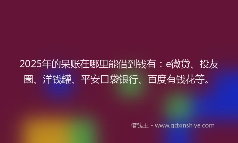 2025年的呆账在哪里能借到钱有：e微贷、投友圈、洋钱罐、平安口袋银行、百度有钱花等。