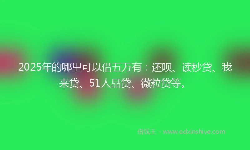 2025年的哪里可以借五万有：还呗、读秒贷、我来贷、51人品贷、微粒贷等。
