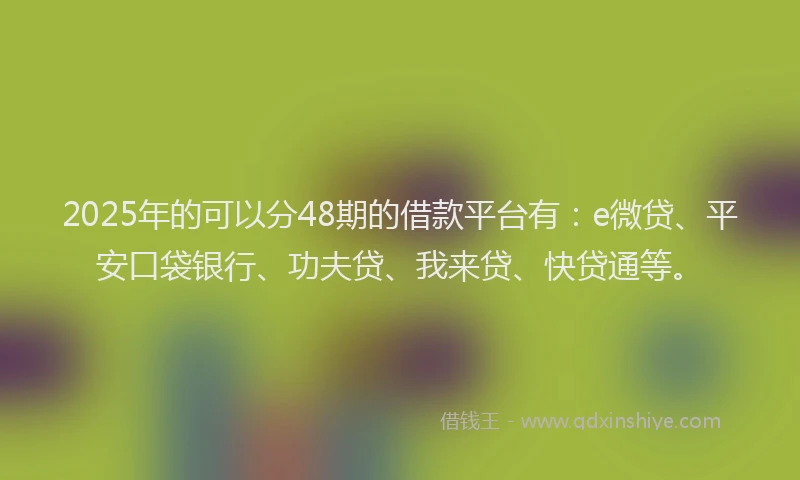 2025年的可以分48期的借款平台有：e微贷、平安口袋银行、功夫贷、我来贷、快贷通等。
