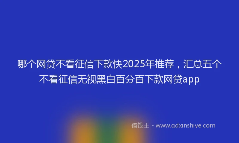 哪个网贷不看征信下款快2025年推荐，汇总五个不看征信无视黑白百分百下款网贷app