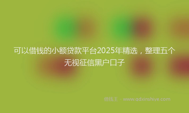 可以借钱的小额贷款平台2025年精选，整理五个无视征信黑户口子