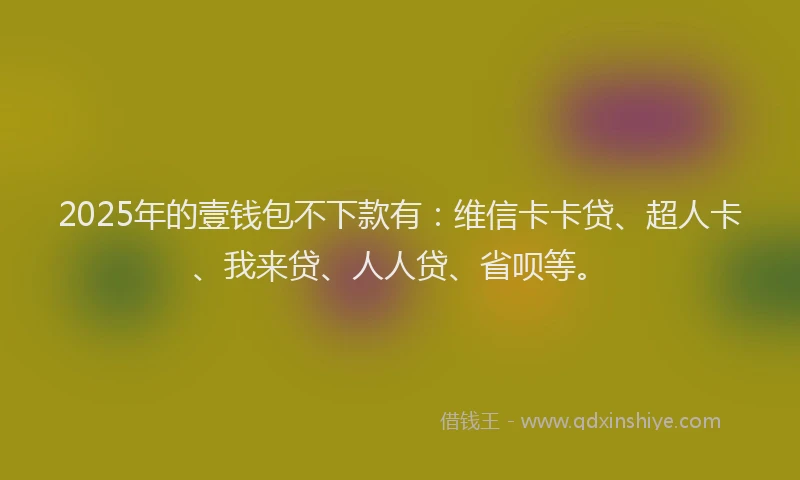 2025年的壹钱包不下款有：维信卡卡贷、超人卡、我来贷、人人贷、省呗等。