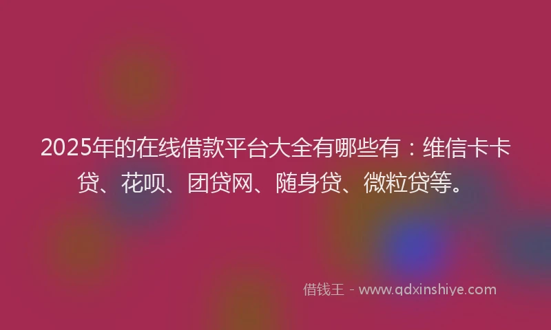 2025年的在线借款平台大全有哪些有：维信卡卡贷、花呗、团贷网、随身贷、微粒贷等。