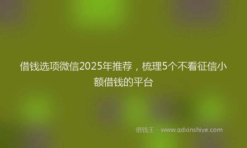 借钱选项微信2025年推荐，梳理5个不看征信小额借钱的平台